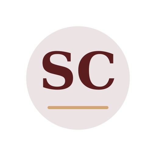 Silva Chimney Services logo